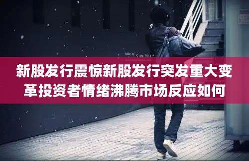 新股发行震惊新股发行突发重大变革投资者情绪沸腾市场反应如何