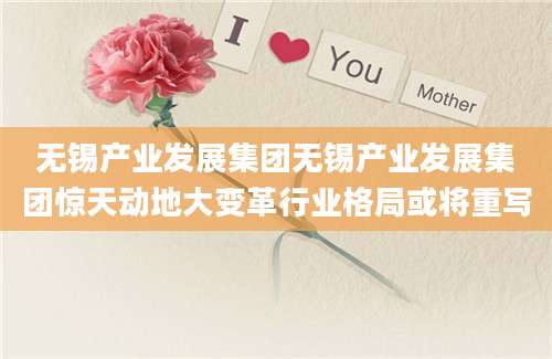 无锡产业发展集团无锡产业发展集团惊天动地大变革行业格局或将重写