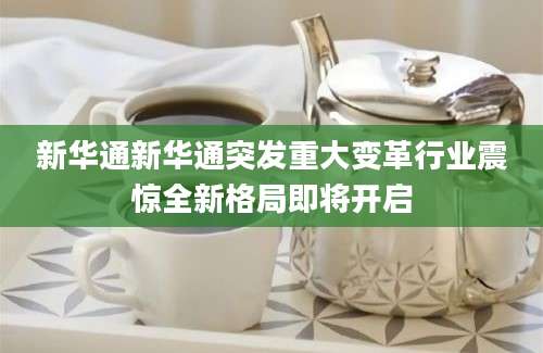新华通新华通突发重大变革行业震惊全新格局即将开启