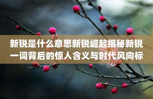 新锐是什么意思新锐崛起揭秘新锐一词背后的惊人含义与时代风向标