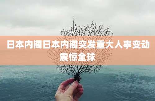 日本内阁日本内阁突发重大人事变动震惊全球