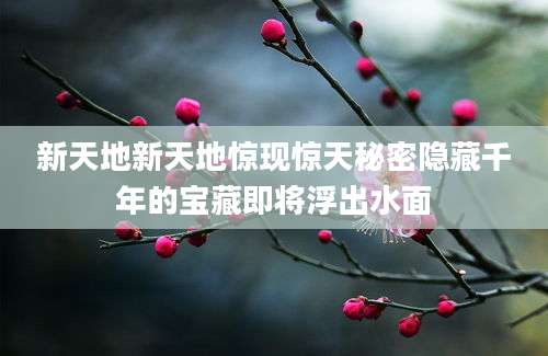 新天地新天地惊现惊天秘密隐藏千年的宝藏即将浮出水面
