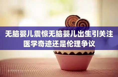 无脑婴儿震惊无脑婴儿出生引关注医学奇迹还是伦理争议