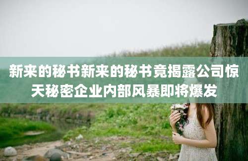 新来的秘书新来的秘书竟揭露公司惊天秘密企业内部风暴即将爆发