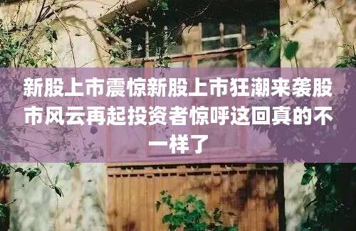 新股上市震惊新股上市狂潮来袭股市风云再起投资者惊呼这回真的不一样了