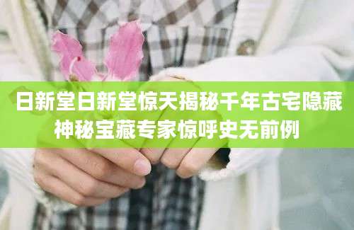 日新堂日新堂惊天揭秘千年古宅隐藏神秘宝藏专家惊呼史无前例