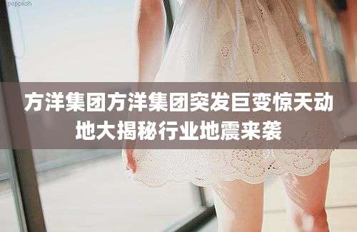 方洋集团方洋集团突发巨变惊天动地大揭秘行业地震来袭