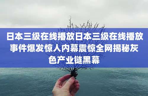 日本三级在线播放日本三级在线播放事件爆发惊人内幕震惊全网揭秘灰色产业链黑幕