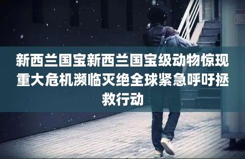 新西兰国宝新西兰国宝级动物惊现重大危机濒临灭绝全球紧急呼吁拯救行动