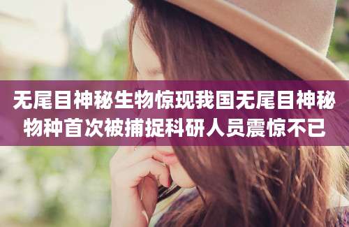 无尾目神秘生物惊现我国无尾目神秘物种首次被捕捉科研人员震惊不已