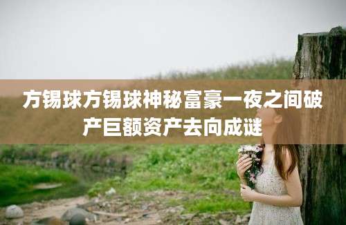 方锡球方锡球神秘富豪一夜之间破产巨额资产去向成谜