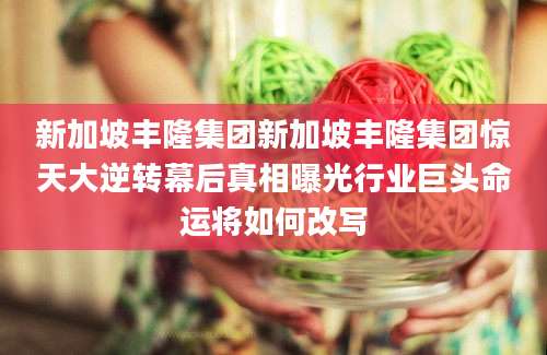 新加坡丰隆集团新加坡丰隆集团惊天大逆转幕后真相曝光行业巨头命运将如何改写