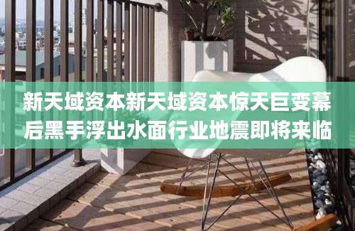 新天域资本新天域资本惊天巨变幕后黑手浮出水面行业地震即将来临