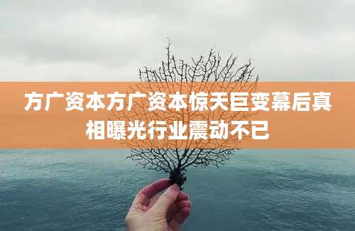 方广资本方广资本惊天巨变幕后真相曝光行业震动不已
