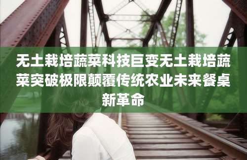 无土栽培蔬菜科技巨变无土栽培蔬菜突破极限颠覆传统农业未来餐桌新革命