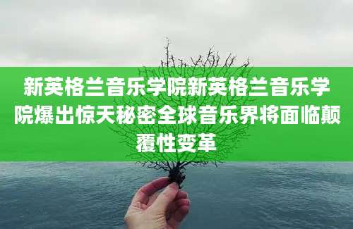 新英格兰音乐学院新英格兰音乐学院爆出惊天秘密全球音乐界将面临颠覆性变革