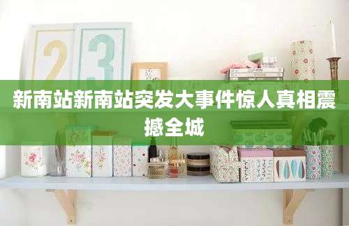 新南站新南站突发大事件惊人真相震撼全城