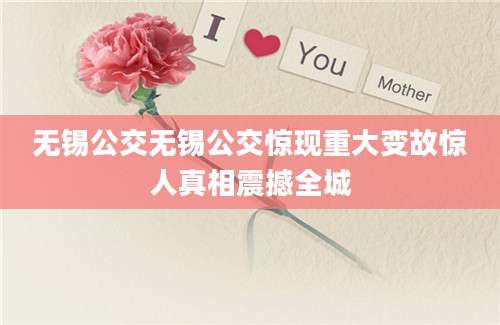 无锡公交无锡公交惊现重大变故惊人真相震撼全城