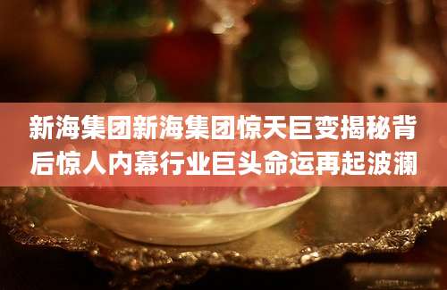 新海集团新海集团惊天巨变揭秘背后惊人内幕行业巨头命运再起波澜