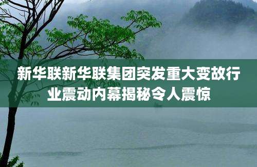 新华联新华联集团突发重大变故行业震动内幕揭秘令人震惊