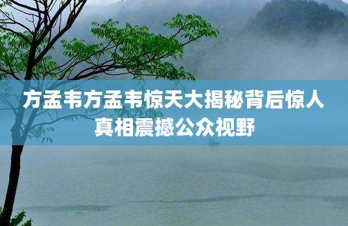 方孟韦方孟韦惊天大揭秘背后惊人真相震撼公众视野