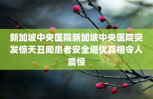 新加坡中央医院新加坡中央医院突发惊天丑闻患者安全堪忧真相令人震惊