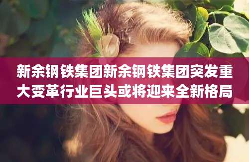 新余钢铁集团新余钢铁集团突发重大变革行业巨头或将迎来全新格局