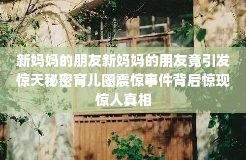 新妈妈的朋友新妈妈的朋友竟引发惊天秘密育儿圈震惊事件背后惊现惊人真相