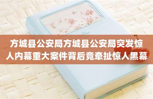 方城县公安局方城县公安局突发惊人内幕重大案件背后竟牵扯惊人黑幕