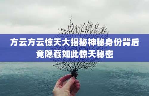 方云方云惊天大揭秘神秘身份背后竟隐藏如此惊天秘密