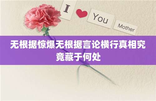 无根据惊爆无根据言论横行真相究竟藏于何处