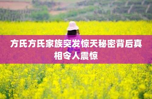 方氏方氏家族突发惊天秘密背后真相令人震惊