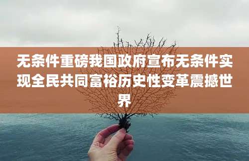 无条件重磅我国政府宣布无条件实现全民共同富裕历史性变革震撼世界