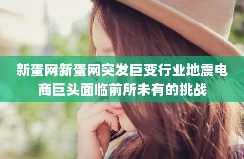 新蛋网新蛋网突发巨变行业地震电商巨头面临前所未有的挑战