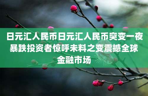 日元汇人民币日元汇人民币突变一夜暴跌投资者惊呼未料之变震撼全球金融市场