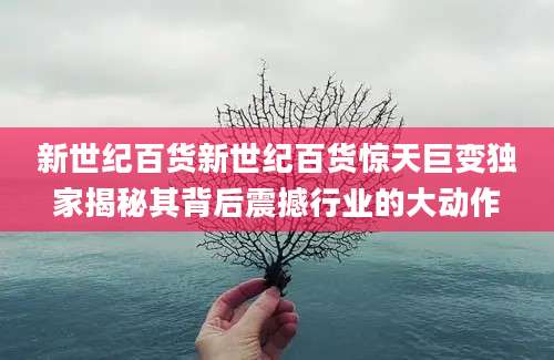 新世纪百货新世纪百货惊天巨变独家揭秘其背后震撼行业的大动作