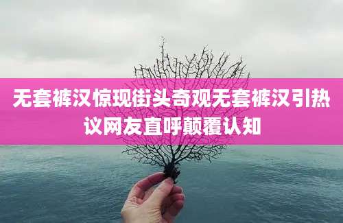 无套裤汉惊现街头奇观无套裤汉引热议网友直呼颠覆认知