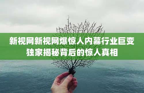 新视网新视网爆惊人内幕行业巨变独家揭秘背后的惊人真相
