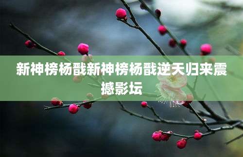 新神榜杨戬新神榜杨戬逆天归来震撼影坛