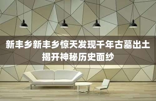 新丰乡新丰乡惊天发现千年古墓出土揭开神秘历史面纱