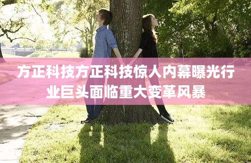 方正科技方正科技惊人内幕曝光行业巨头面临重大变革风暴