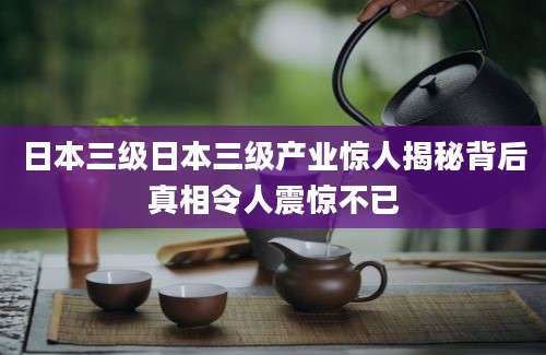 日本三级日本三级产业惊人揭秘背后真相令人震惊不已