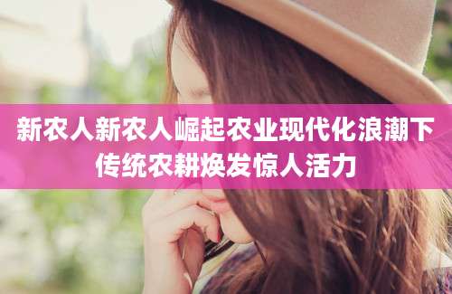 新农人新农人崛起农业现代化浪潮下传统农耕焕发惊人活力