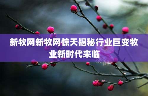 新牧网新牧网惊天揭秘行业巨变牧业新时代来临