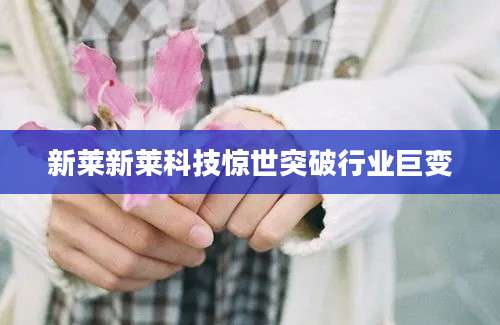 新莱新莱科技惊世突破行业巨变